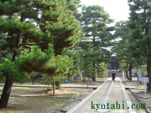 萬福寺龍のウロコ道