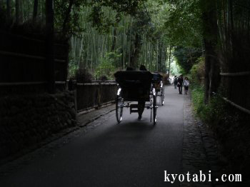 嵯峨野竹林